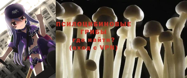 не бодяженный Алексин