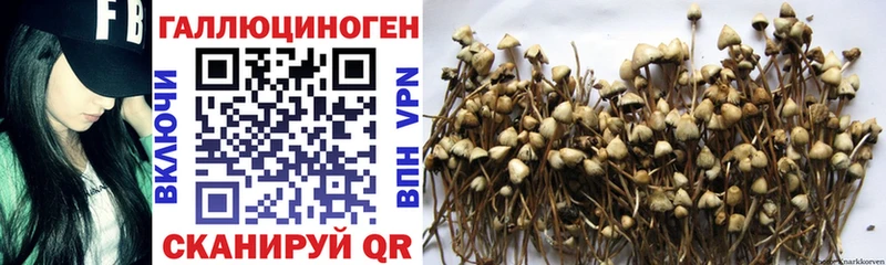 Псилоцибиновые грибы Magic Shrooms  купить   Великие Луки 