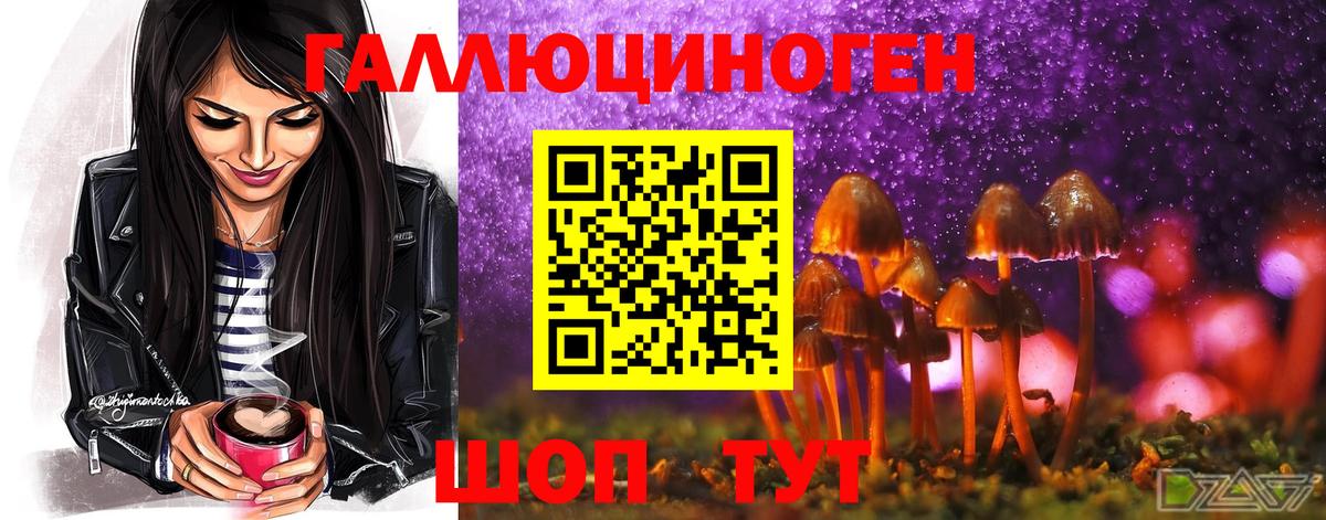Великие Луки  Галлюциногенные грибы MAGIC MUSHROOMS  Вход с VPN  Псилоцибиновые грибы ЛСД 